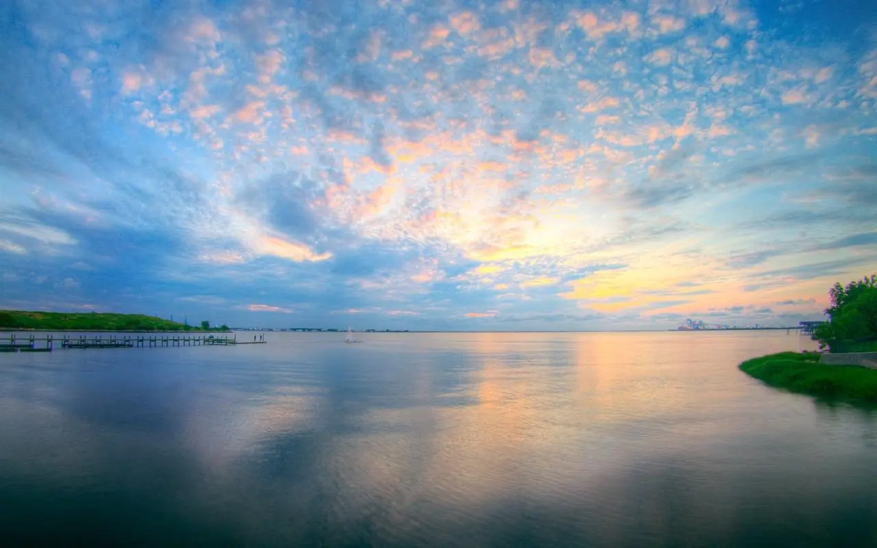 绿色绿色